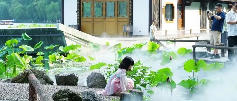 曲院风荷赏荷攻略：湛碧楼雾森、九曲桥、悬浮金鱼缸