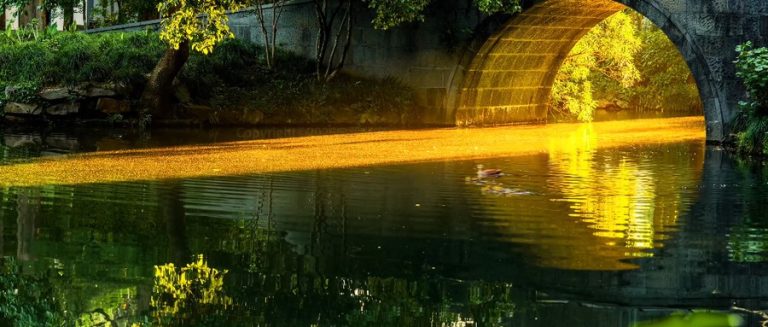 杭州金光穿洞：清晨5点的曲院风荷，摄影师挤满湖边