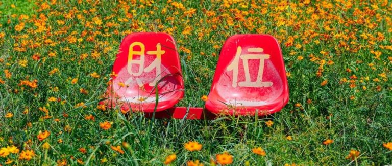 温州6片花海正盛放：硫磺菊、向日葵、紫薇…全免费，照着走就行
