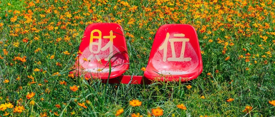 温州6片花海正盛放：硫磺菊、向日葵、紫薇…全免费，照着走就行