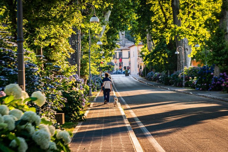 书博首登杭州，六条路线选哪条