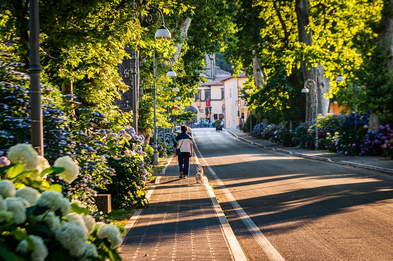 书博首登杭州，六条路线选哪条