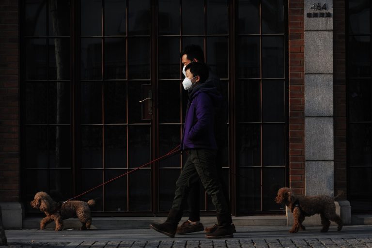 苏堤春晓怎么逛六桥走法说清