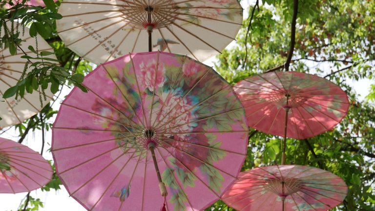 去马塍花市吃汤圆、拍全家福；去长河老街看鱼灯、迎